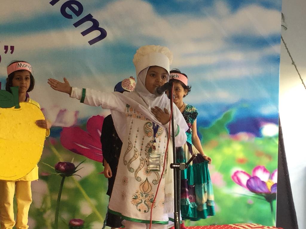 Gems of FMS 2015 - Butterfly (FMS 3)