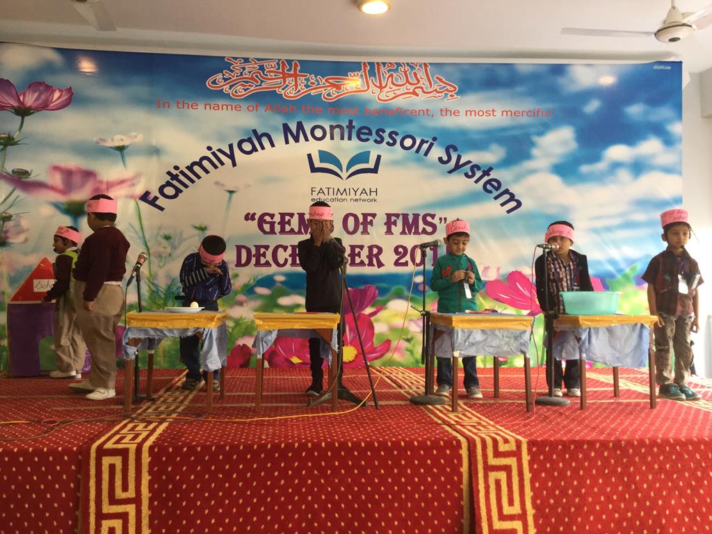 Gems of FMS 2015 - Butterfly (FMS 3)