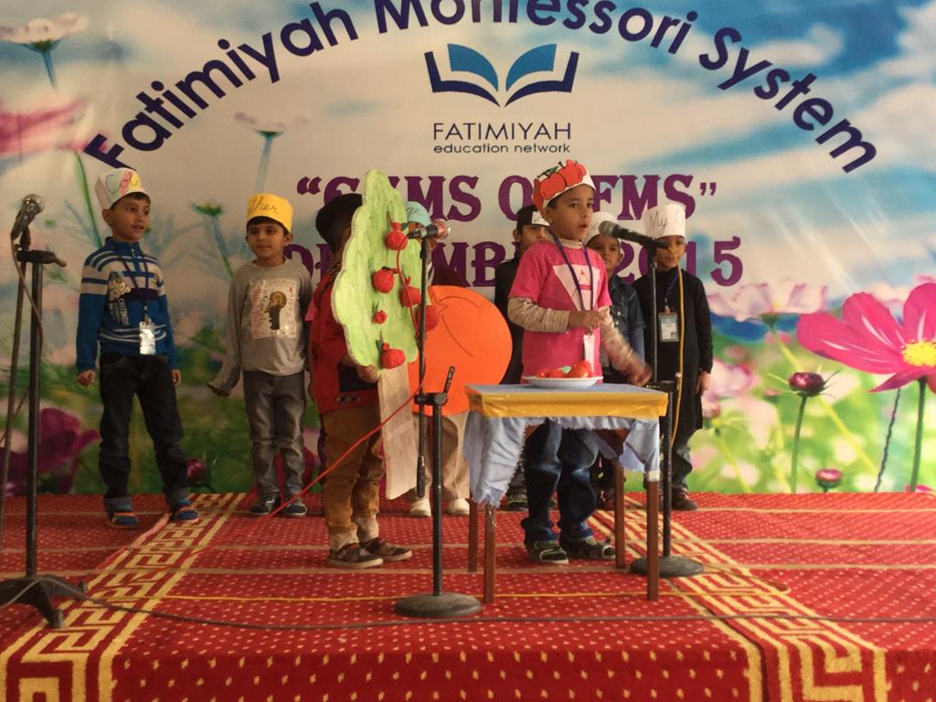 Gems of FMS 2015 - Butterfly (FMS 3)