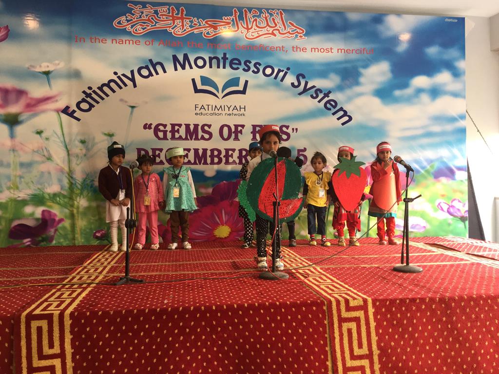 Gems of FMS 2015 - Marigold (FMS1 and 2)