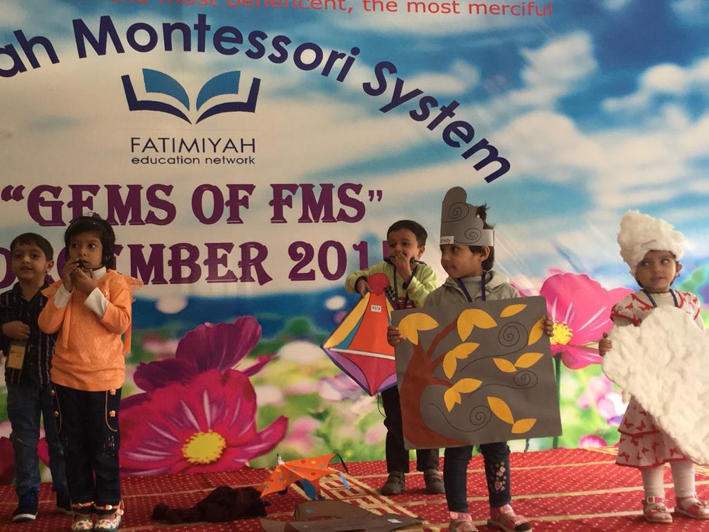 Gems of FMS 2015 - Marigold (FMS1 and 2)