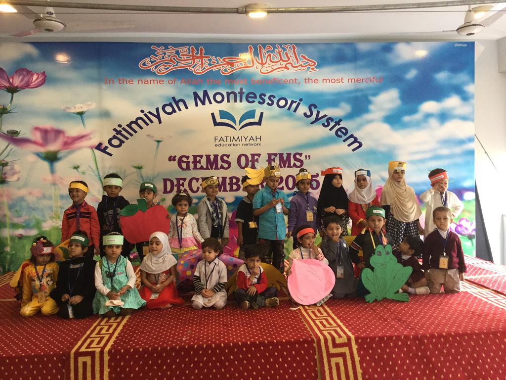 Gems of FMS 2015 - Marigold (FMS1 and 2)